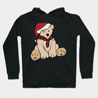 Christmas Baby Bear Pajama Xmas Gifts Boys, Girls and Women Hoodie